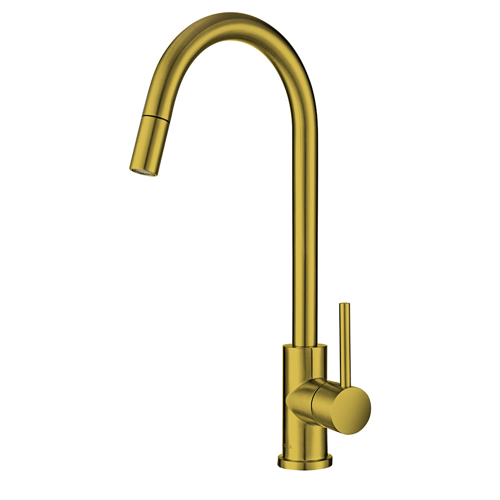 Hafele Mixer Tap Gold Brushed SS Pull Out Sprayer